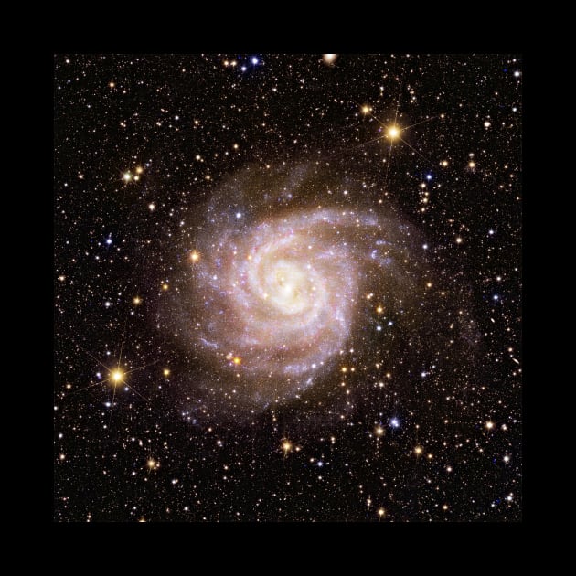 Euclid IC 342 Spiral Galaxy by RockettGraph1cs