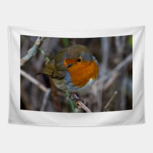 Fluffed up Robin Tapestry