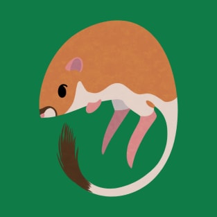 Kangaroo Rat T-Shirt