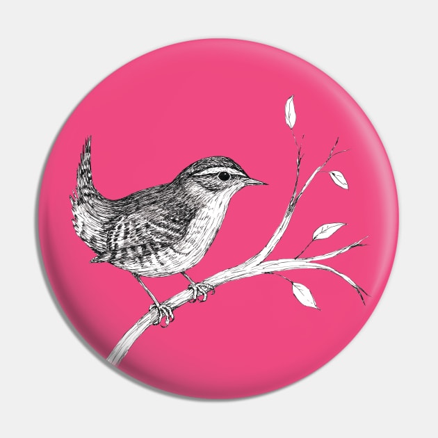 Wren pen drawing Pin by Bwiselizzy