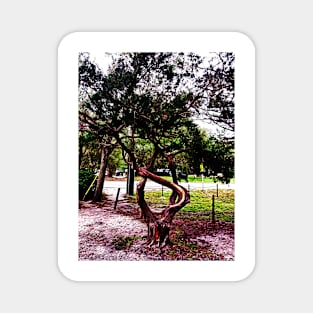 The Twisted Tree 1123 Magnet