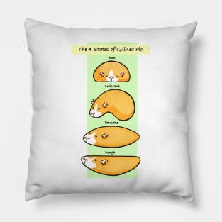 The 4 States of Guinea Pig Pillow