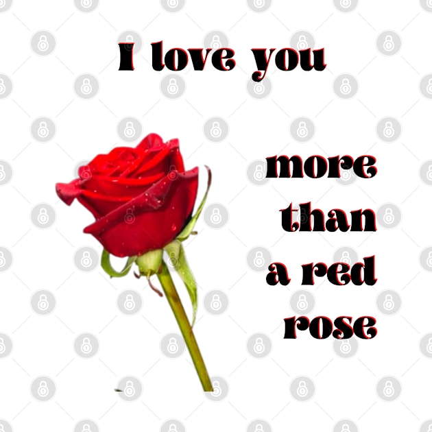 I love you more than a single red rose by Blue Butterfly Designs 