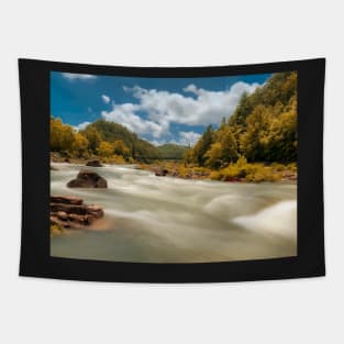 Toccoa River Tapestry