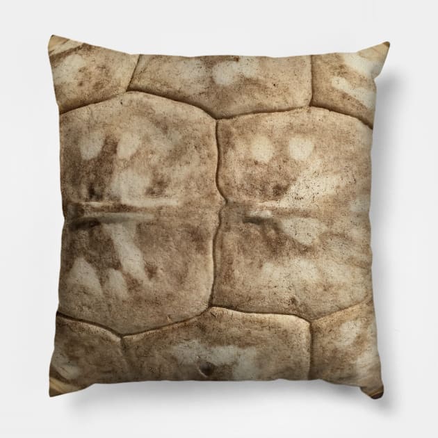 Turtle Shell bone pillow Pillow by Nature Hike