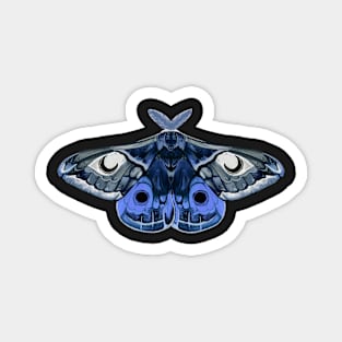 Moth sticker blue and gray Magnet