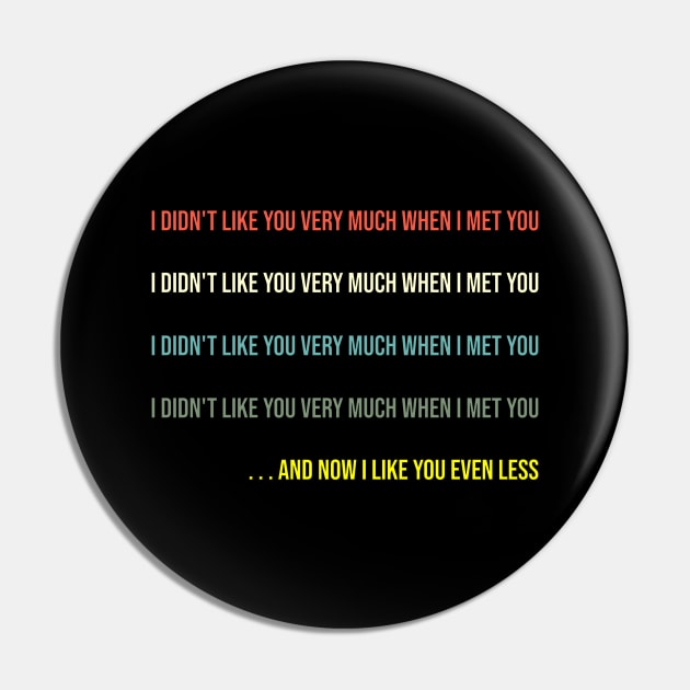 I didn't like you very much when I met you Pin by INLE Designs