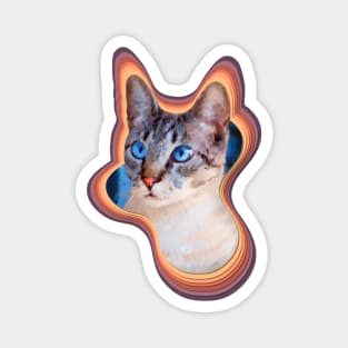 colorful domestic shorthair cat painting Magnet