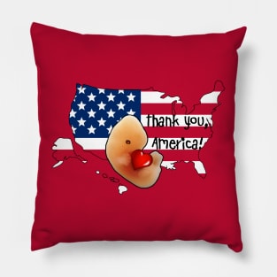 Pro-life US cute embryo hugging heart USA American flag Pillow