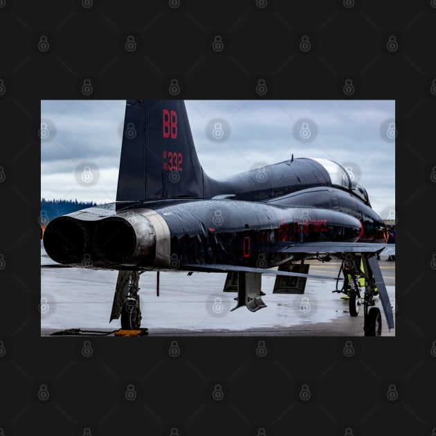 Black T-38 from 9th Recon Wing at Beale AFB by acefox1