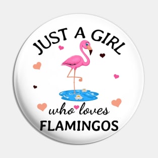 Just a Girl Who Loves flamingos Gift Pin