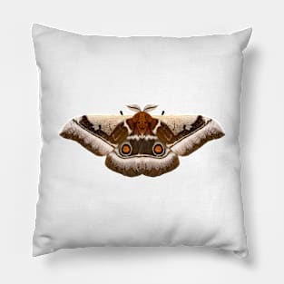 Emperor Moth Pillow