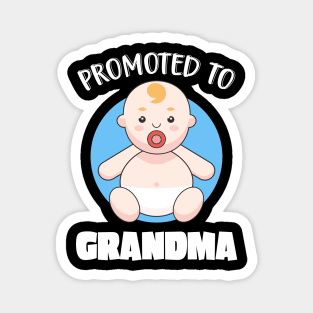 Promoted To Grandma Family Birth Grandchildren Magnet