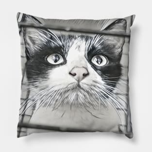 SELFIE CAT BLACK AND WHITE Pillow