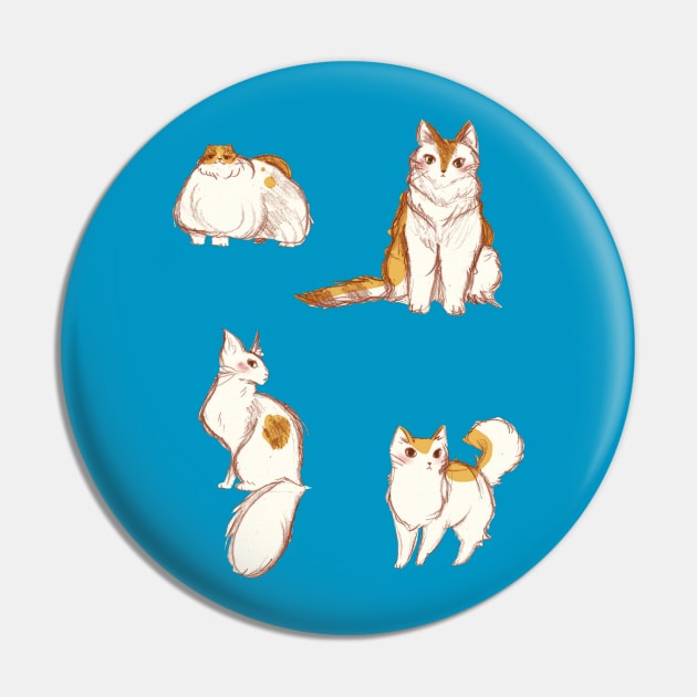 Cute Fluffy Cats Pin by saradaboru