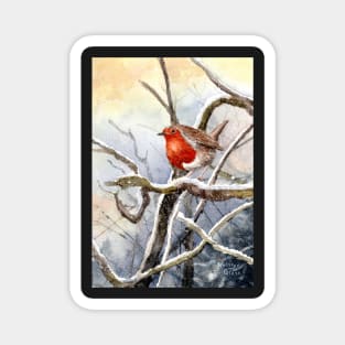 Robin redbreast in the snow Magnet