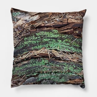 Wood Bark Moss Nature Forest Pillow