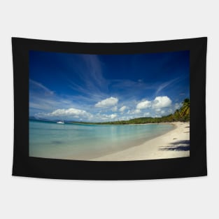 Tropical Island Tapestry