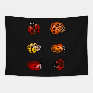 Red, orange and yellow ladybugs -A group of lady bugs is called a loveliness - purple background Tapestry