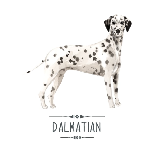 Dalmatian by bullshirter