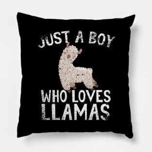 Just A Boy Who Loves Llamas Pillow