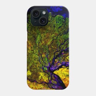 A photo of a colorful river delta taken from a satellite Phone Case