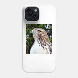 Red Tailed Hawk Phone Case