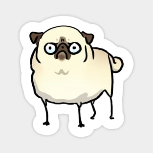 Angry Pug (fawn) Magnet