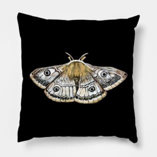 Emperor Moth Pillow