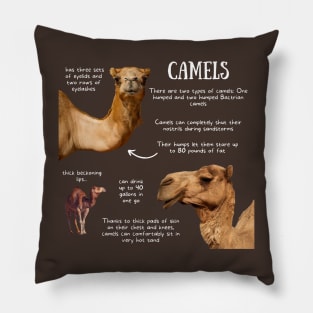 Animal Facts - Camel Pillow