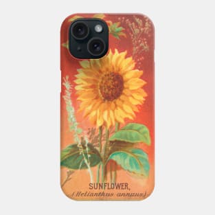 Sunflower (Helianthus annuus) Phone Case