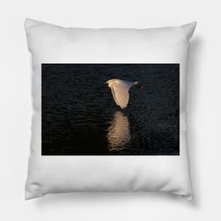 Snow over Water - Snowy Egret Pillow