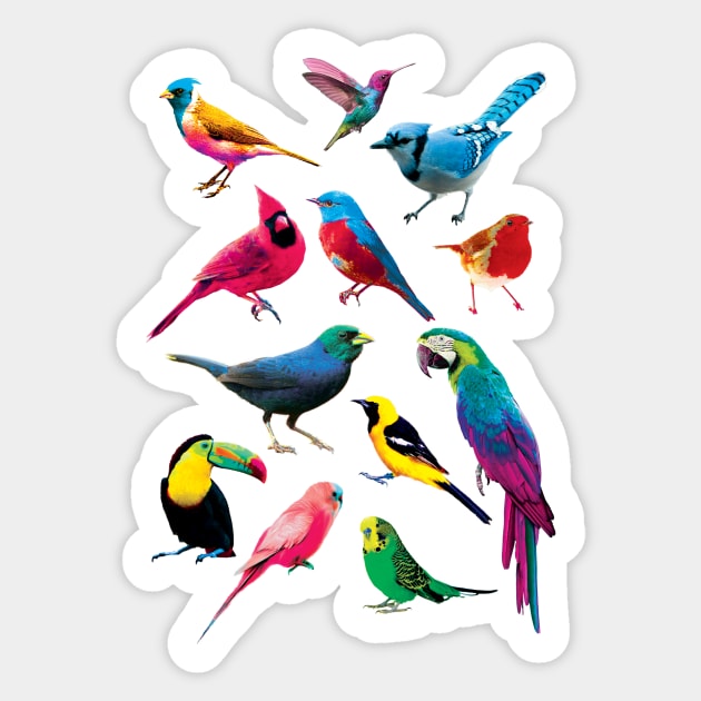 Colorful Birds - Birds - Sticker