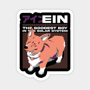 Cowboy Bebop | Ein Magnet