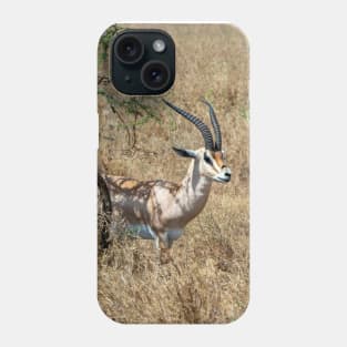 Wild Gazelle in Tanzania Phone Case