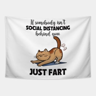 If somebody isn't social distancing just fart CAT Funny Animal Quote Hilarious Sayings Humor Gift Tapestry