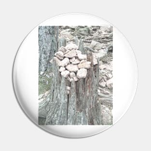 Pebbles on tree stump Pin