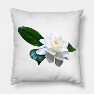 Wonderful White Gardenia Pillow