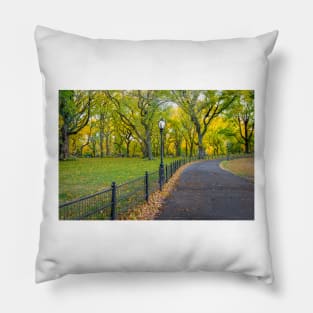 Walking Path Central Park Pillow