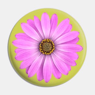 Purple African Daisy Flower Pin