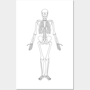 Wall Art Print, Antique Illustration of the Human Body & Skeleton  (Biology)