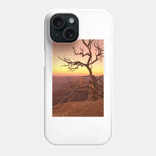 850_8825 Phone Case