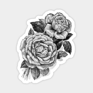 Black Rose Flowers Vintage Print Magnet