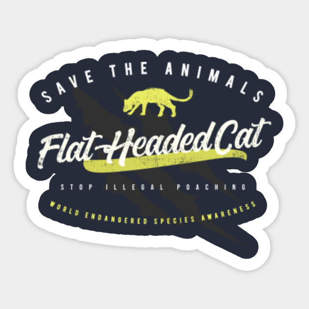 Flat Headed Cat Endangered Animals Aufkleber Teepublic De