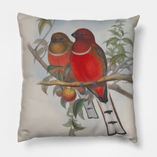 Two Red Birds Pillow