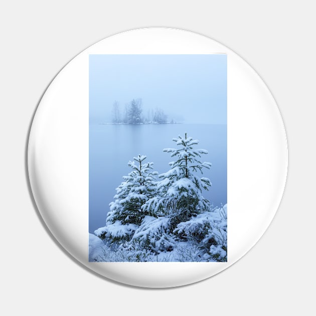 Foggy winter lake and spruce trees Pin by Juhku