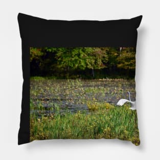 "Egret Beauty" Pillow