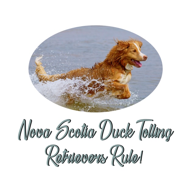 Nova Scotia Duck Tolling Retrievers Rule! by Naves