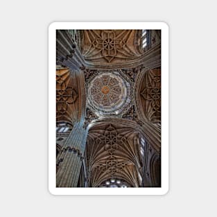 Spain. Salamanca. New Cathedral. Vaults. Magnet