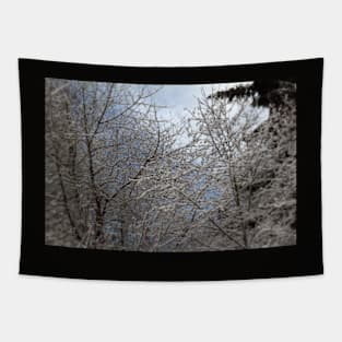 snowy  oregon forest 2 Tapestry